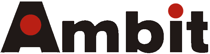 Professional mechanic